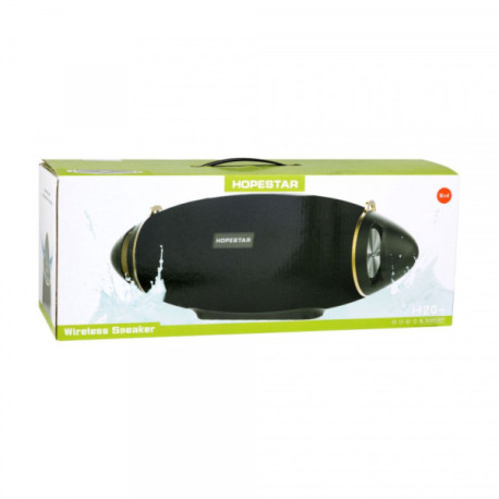 Колонка Hopestar H20+ (16)