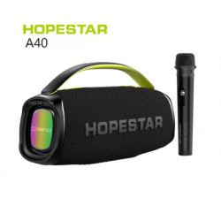 Колонка Hopestar A40 70W (с микрофоном) (8)