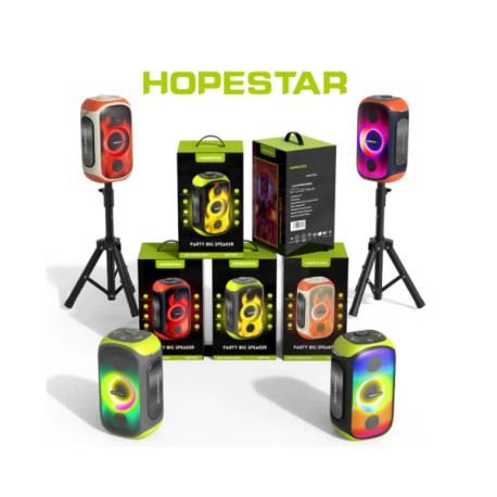 Колонка Hopestar PARTY 300 80W (1 микрофон) (6)