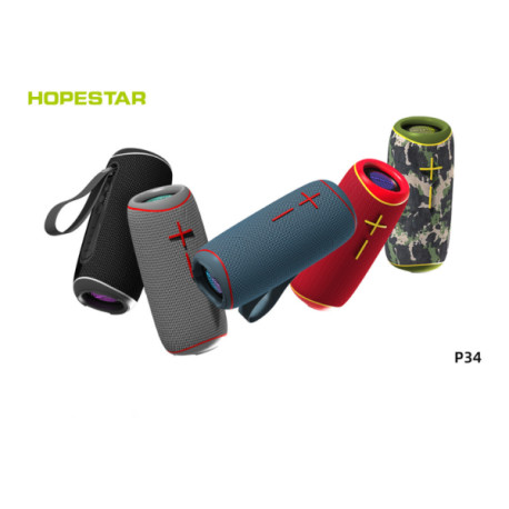 Колонка Hopestar P34 (20)