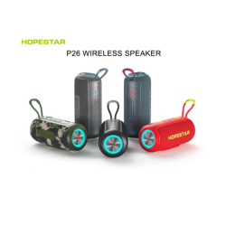 Колонка Hopestar P26 (30)